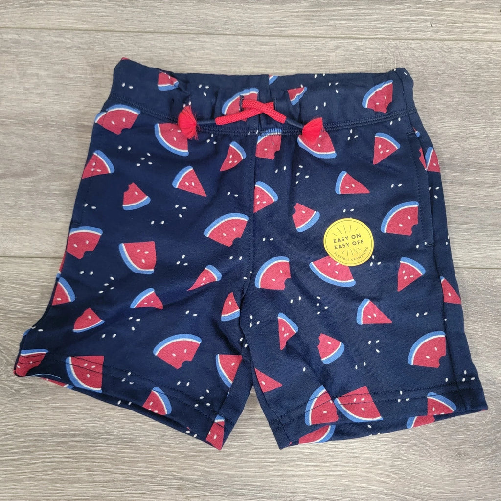 Cat and Jack Boys Short and Shirt Set Blue Watermelon Various Sizes