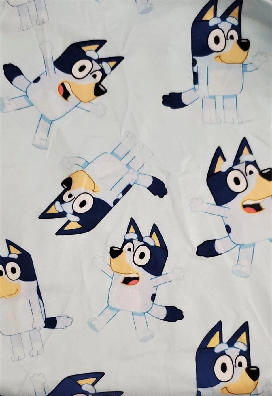 NWOT INFANT/TODDLER BOYS BLUEY 2 PC. PAJAMA SET - 12/18 MOS., 2T & 3T